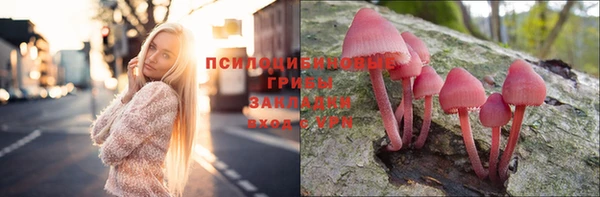 PSILOCYBIN Абинск