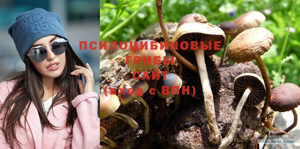тгк Абаза
