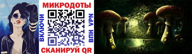 Галлюциногенные грибы Psilocybine cubensis  Соликамск 