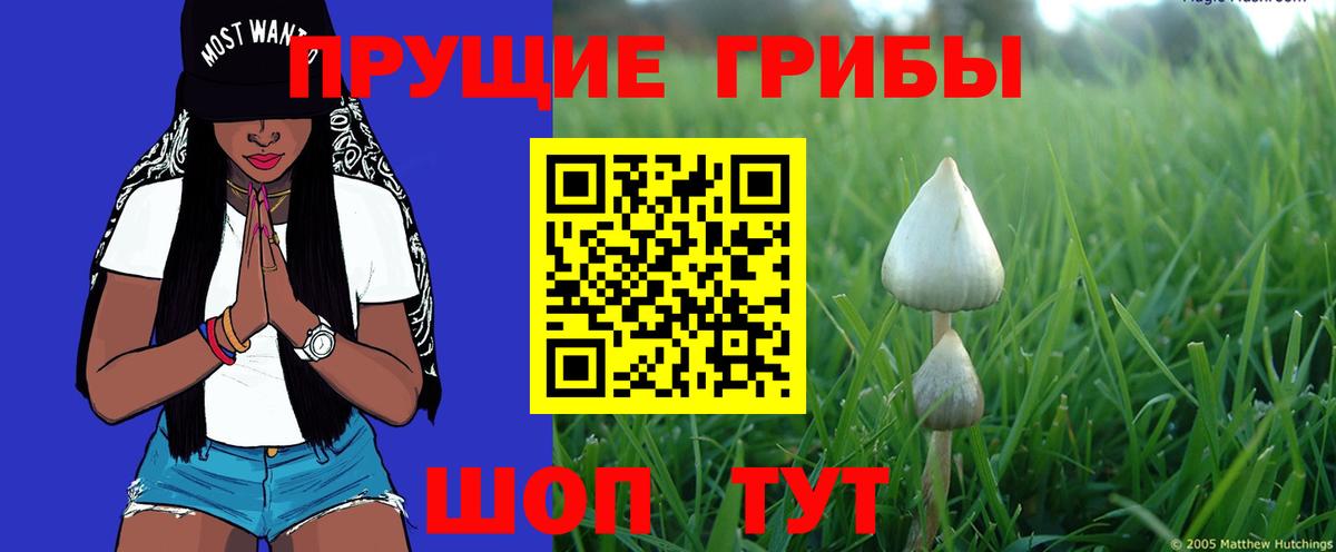 Галлюциногенные грибы MAGIC MUSHROOMS Соликамск